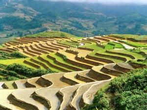 Sapa_5